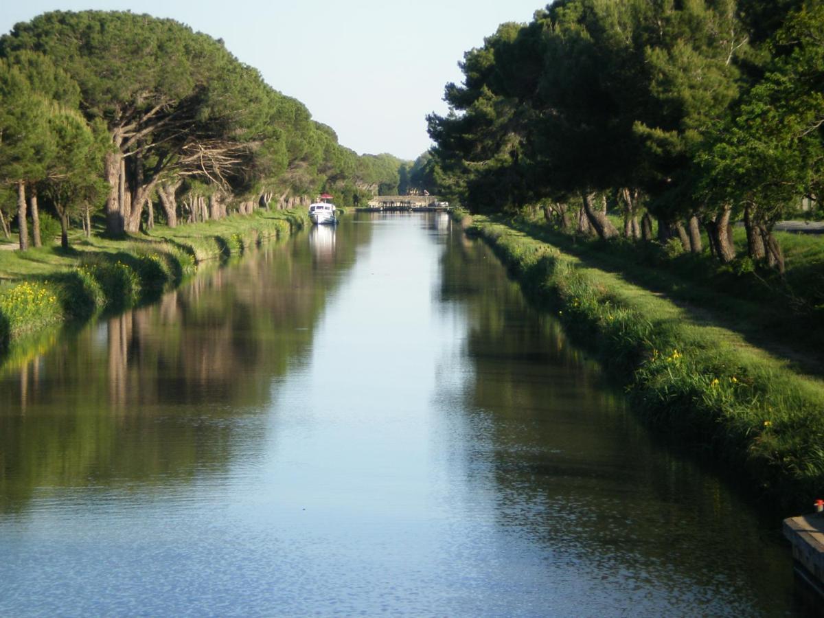 Domaine De L'Herbe Sainte Mirepeisset Luaran gambar