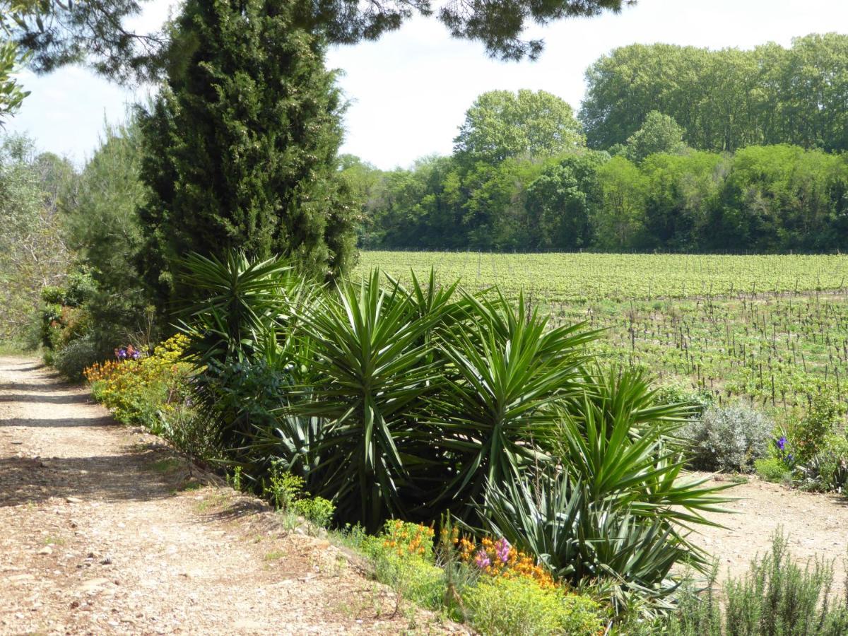 Domaine De L'Herbe Sainte Mirepeisset Luaran gambar