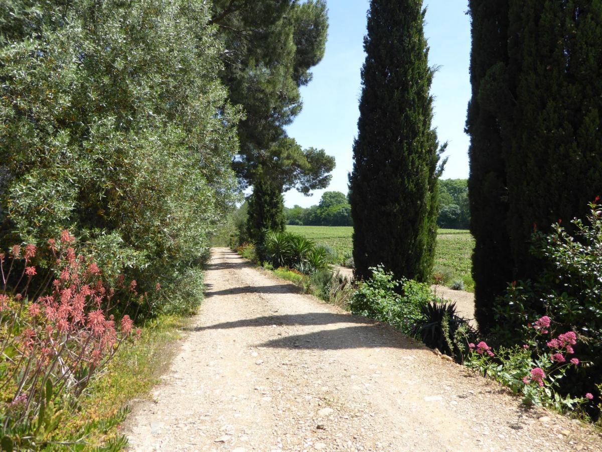 Domaine De L'Herbe Sainte Mirepeisset Luaran gambar