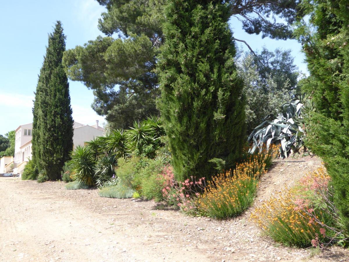 Domaine De L'Herbe Sainte Mirepeisset Luaran gambar