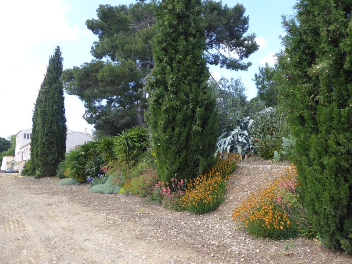 Domaine De L'Herbe Sainte Mirepeisset Luaran gambar