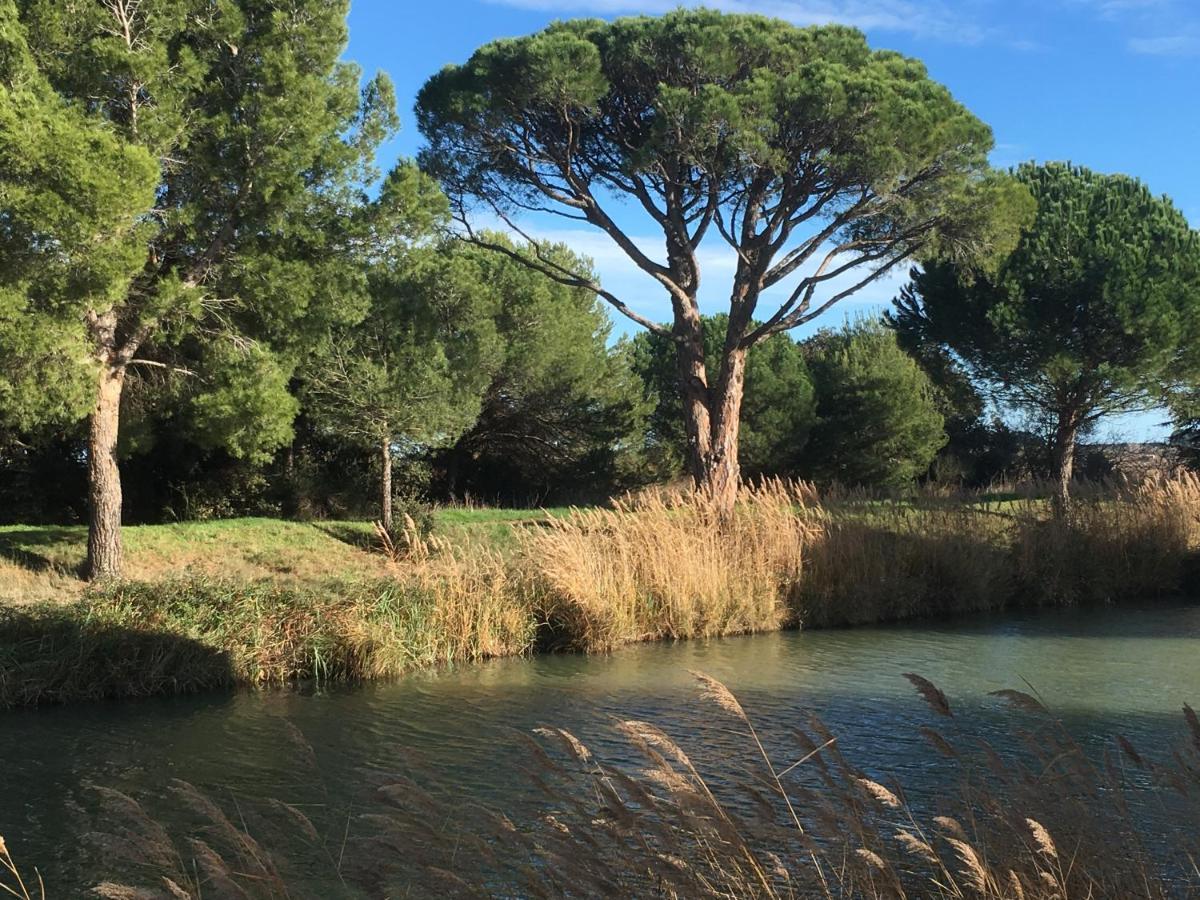 Domaine De L'Herbe Sainte Mirepeisset Luaran gambar