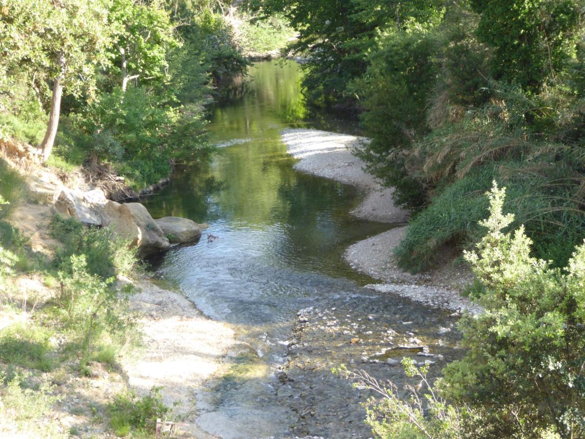 Domaine De L'Herbe Sainte Mirepeisset Luaran gambar