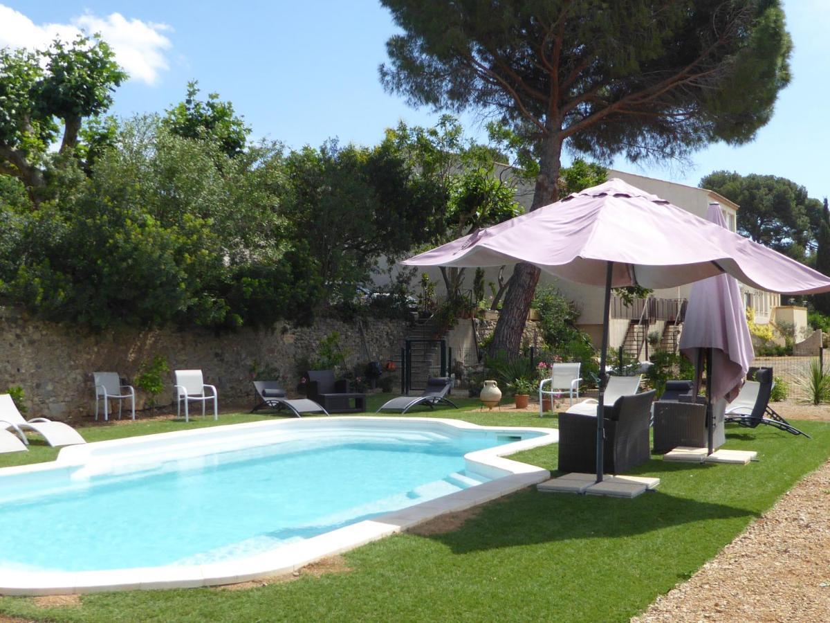 Domaine De L'Herbe Sainte Mirepeisset Luaran gambar