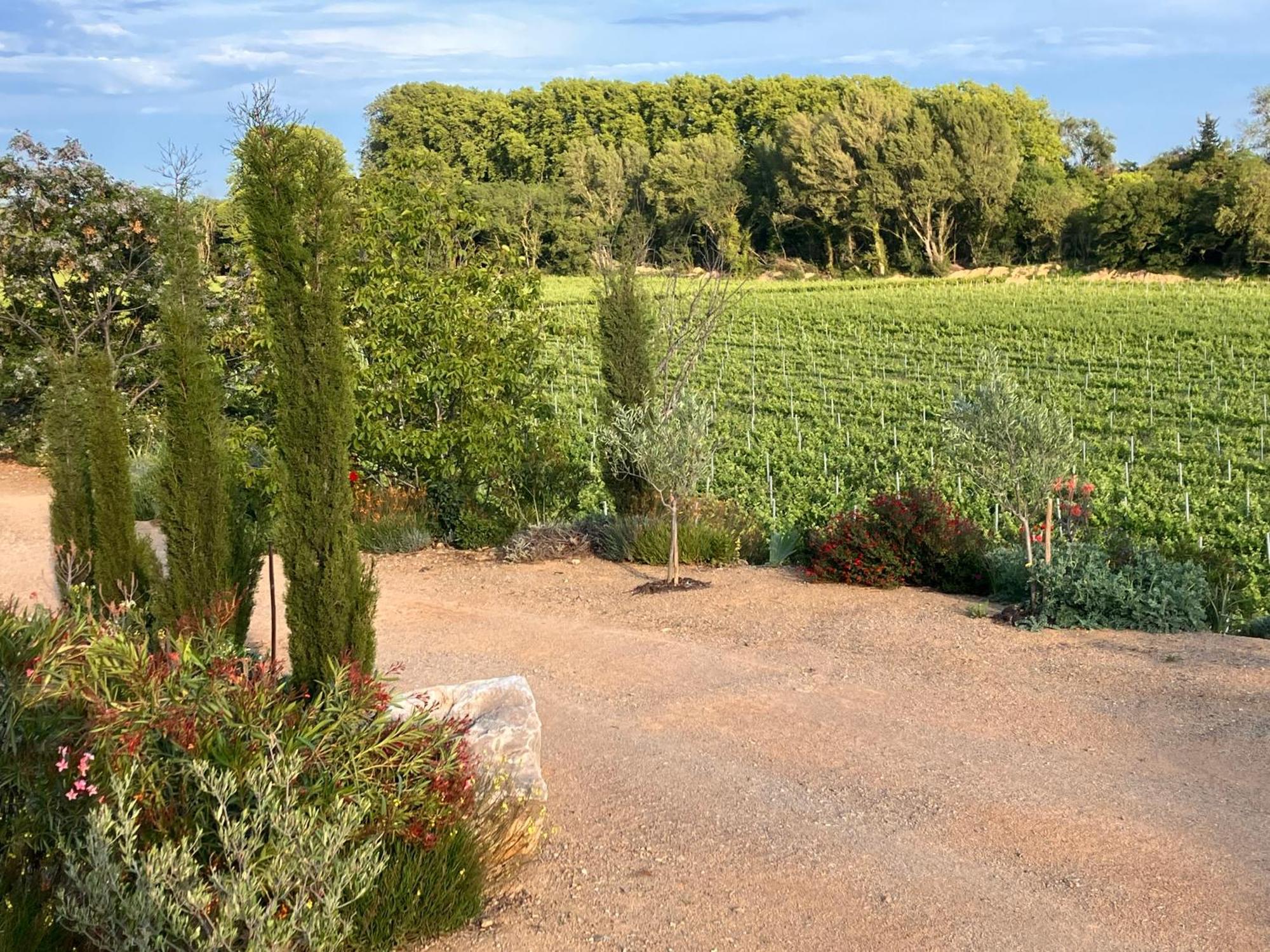 Domaine De L'Herbe Sainte Mirepeisset Luaran gambar