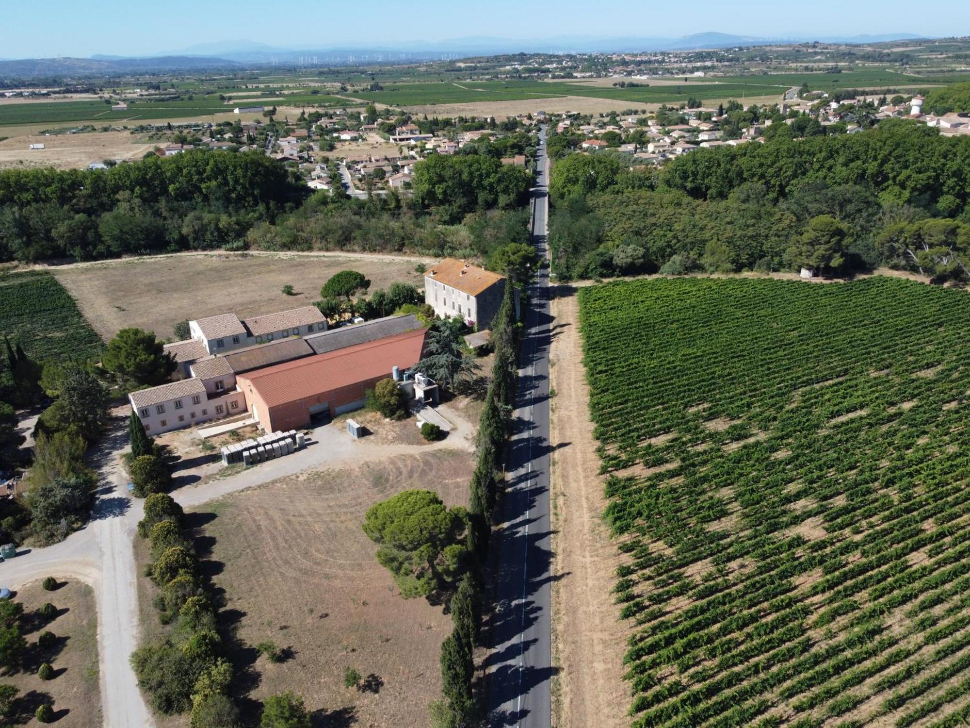 Domaine De L'Herbe Sainte Mirepeisset Luaran gambar