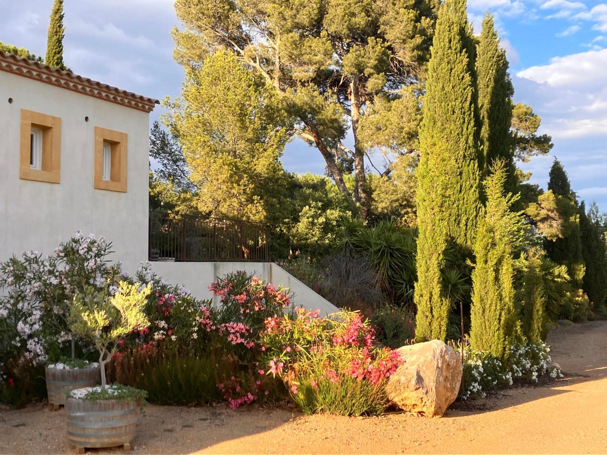 Domaine De L'Herbe Sainte Mirepeisset Luaran gambar