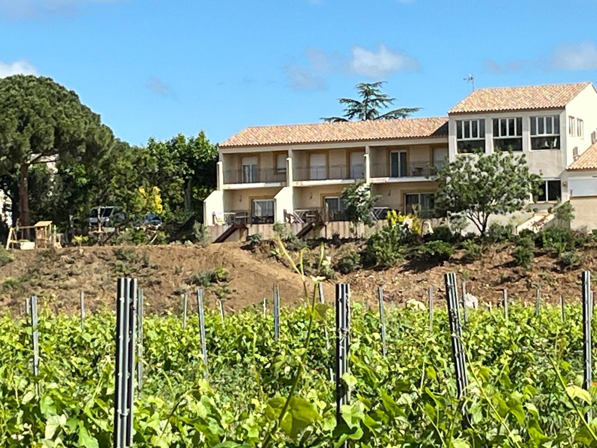 Domaine De L'Herbe Sainte Mirepeisset Luaran gambar
